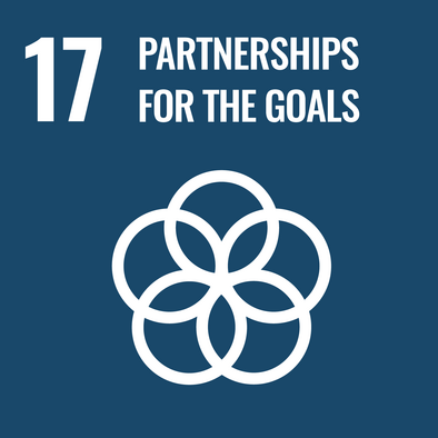 Un sustainability goal 17: partnerships for the goals