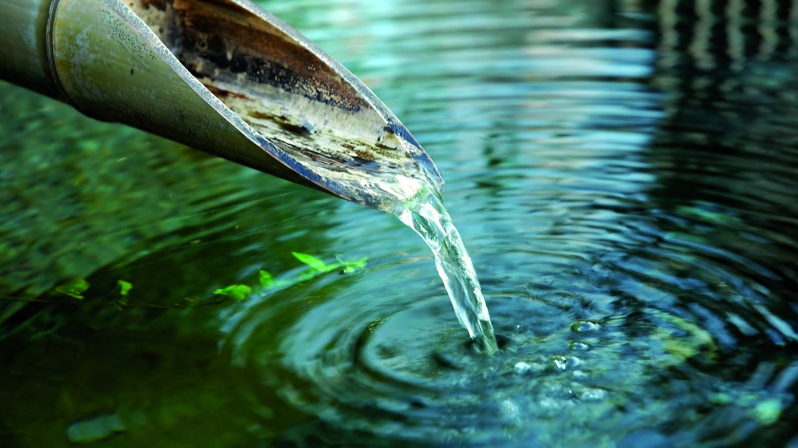  Clear water flows out of a bamboo tube into a pool of water