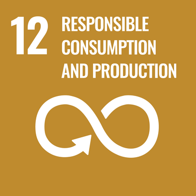 UN sustainability goal 12: responsible consumption and production
