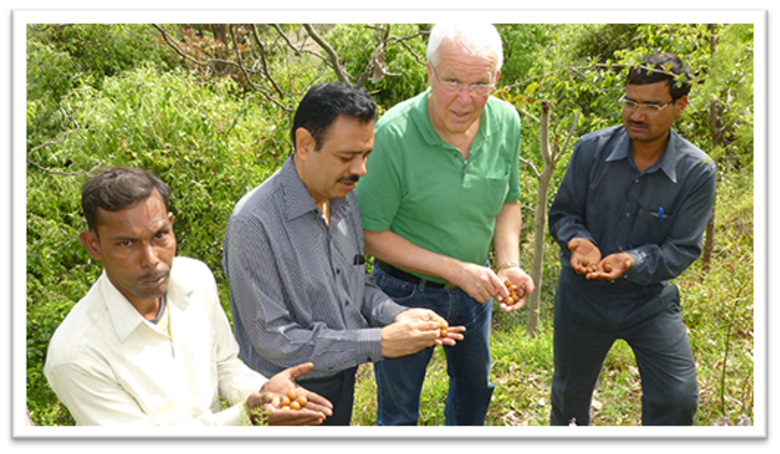 Rudolf Bund and three men checking soap nuts at the cooperative in India