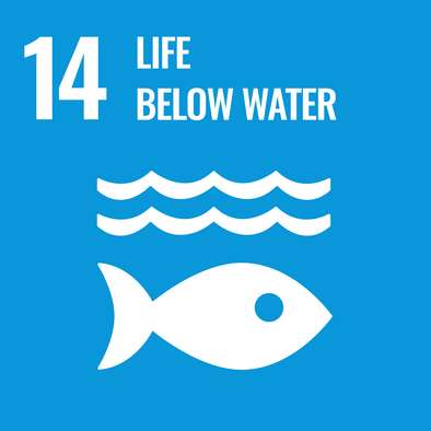 Un Sustainability goal 14: life below water
