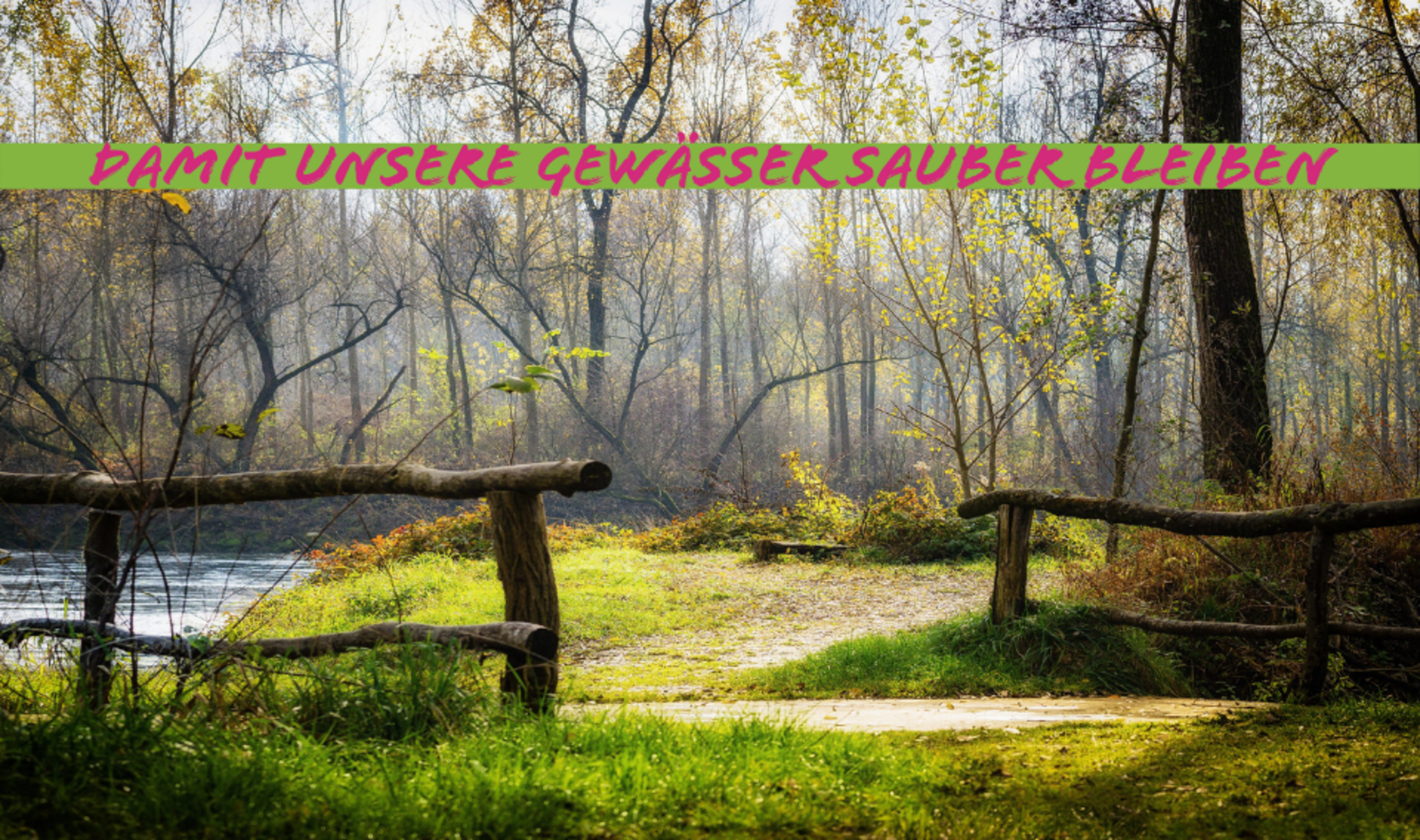 Symbolbild kleiner Bach fließt durch einen Wald