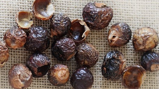 Foto von getrockneten Waschnusschalen auf Tuch